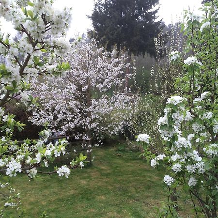 Ferienwohnung Kuckuck Auf Dem Sommerberg Incl Schwarzwaldcard Plus - 2 Zimmer 50Qm บาดวิลด์บาด ภายนอก รูปภาพ