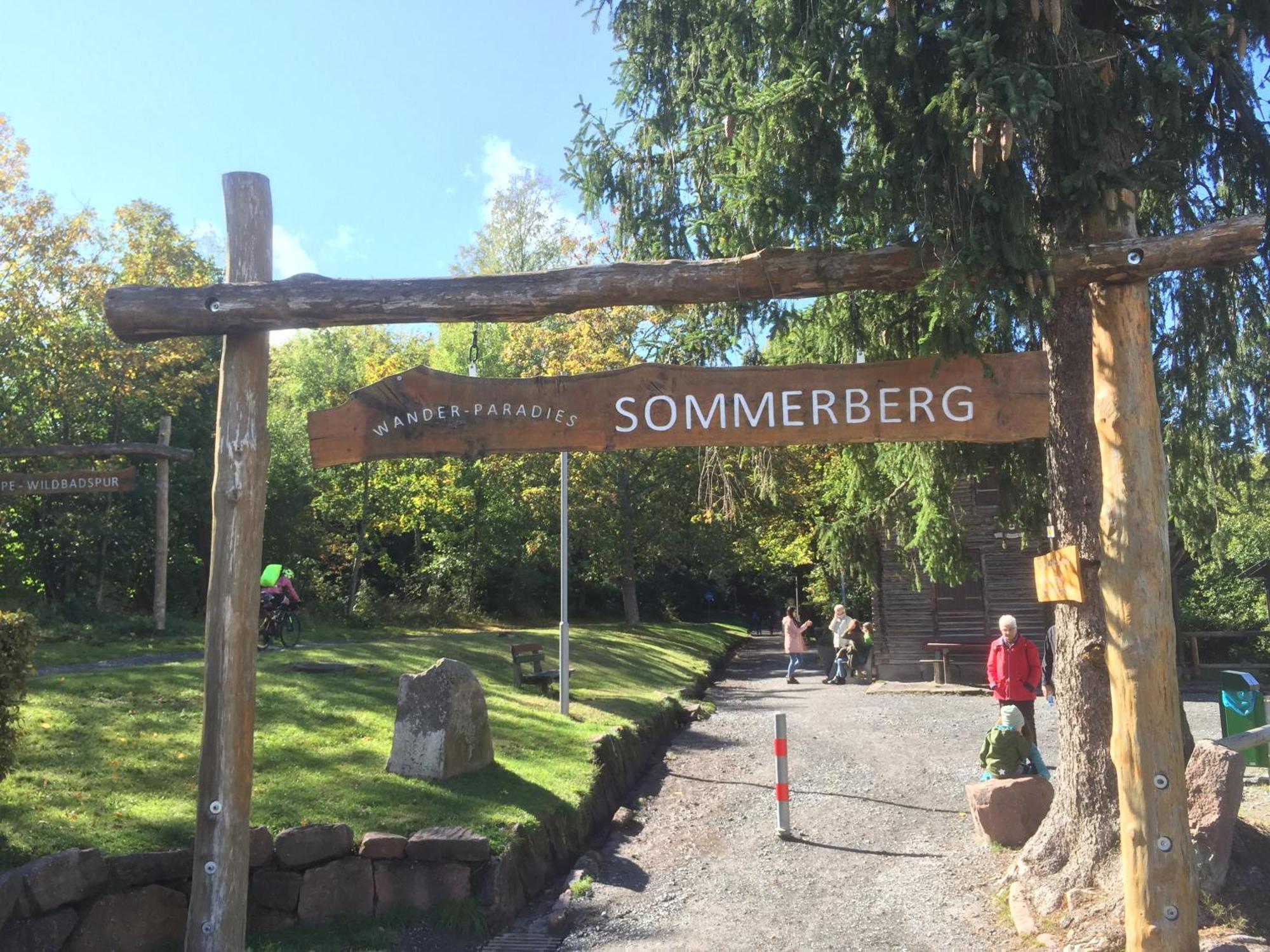 Ferienwohnung Kuckuck Auf Dem Sommerberg Incl Schwarzwaldcard Plus - 2 Zimmer 50Qm บาดวิลด์บาด ภายนอก รูปภาพ